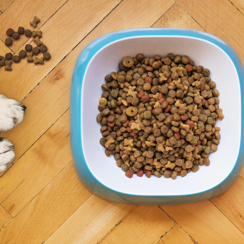 Natural Chicken Dog Treats 16 oz β Pet Supplies at Mega Sale